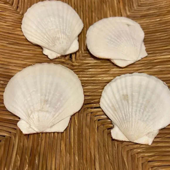 (4) Decoupage Trinket Dishes - Picture 3 of 3